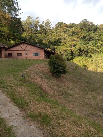 Sítio, 3 quartos, 4 hectares - Foto 3