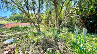 Terreno, 615 m² - Foto 4