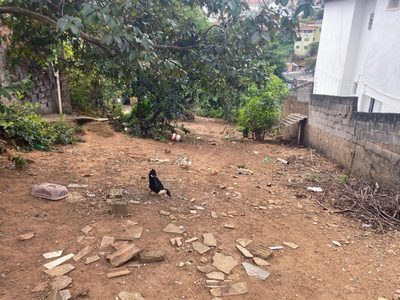 Terreno, 304 m² - Foto 5