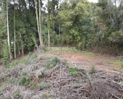 Terreno, 1100 m² - Foto 1
