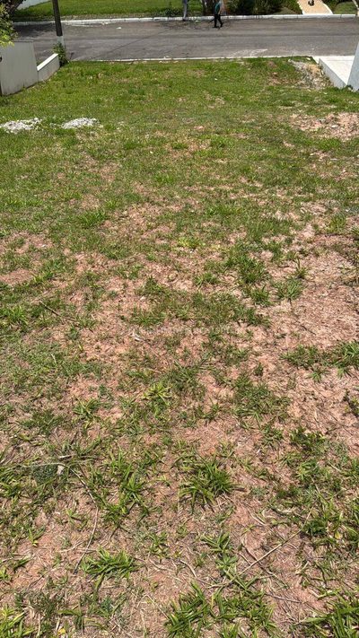 Terreno, 457 m² - Foto 3