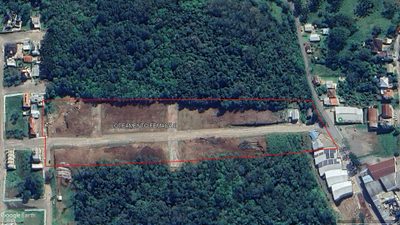 Terreno, 4 hectares - Foto 3