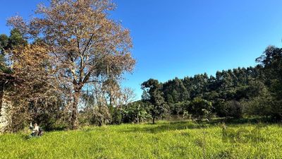 Sítio, 27999 m² - Foto 2