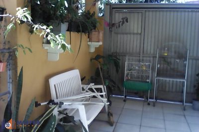 Casa, 3 quartos, 300 m² - Foto 5