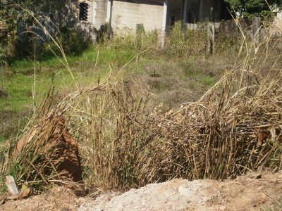 Terreno, 1980 m² - Foto 4
