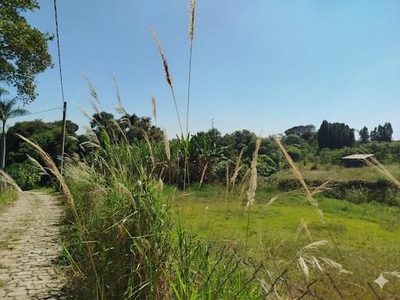Terreno, 2 hectares - Foto 3