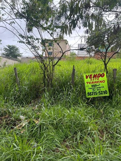 Terreno, 250 m² - Foto 3