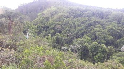 Terreno, 2 hectares - Foto 4