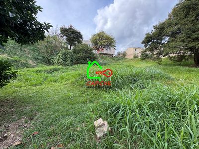 Terreno, 393 m² - Foto 1