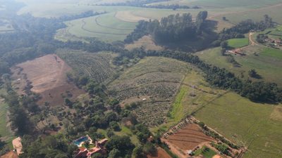 Terreno, 10 hectares - Foto 1