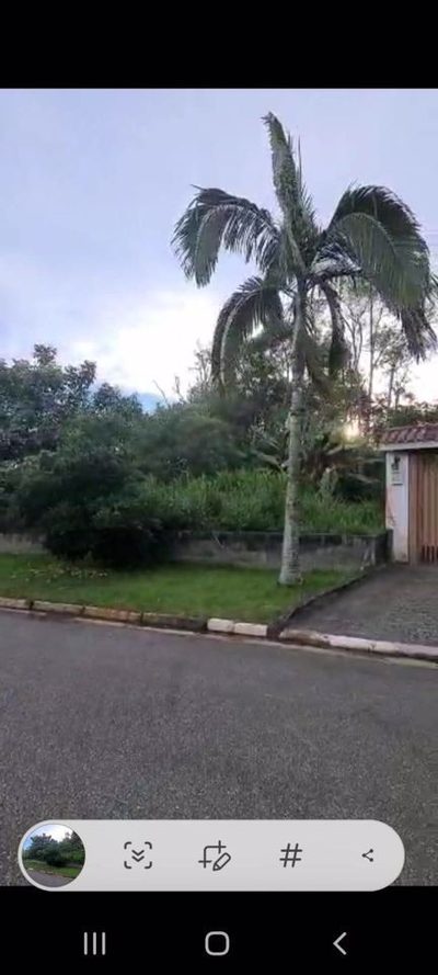 Terreno, 1166 m² - Foto 2