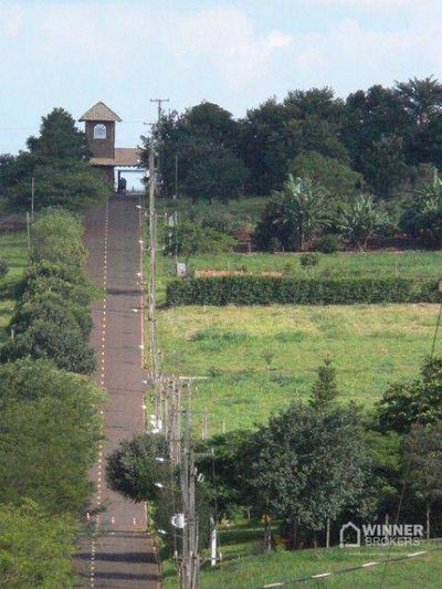 Casa, 3 quartos, 327 m² - Foto 4