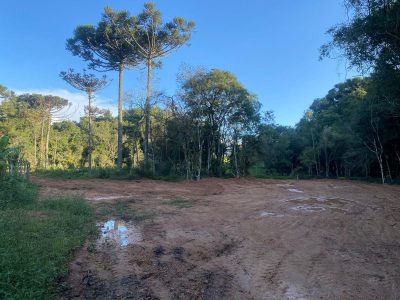 Terreno, 3054 m² - Foto 3