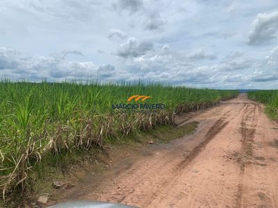Fazenda, 958 hectares - Foto 2