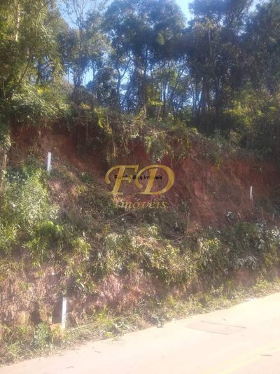 Terreno, 250 m² - Foto 3