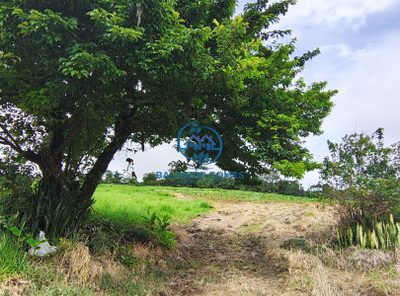 Fazenda, 5 m² - Foto 5