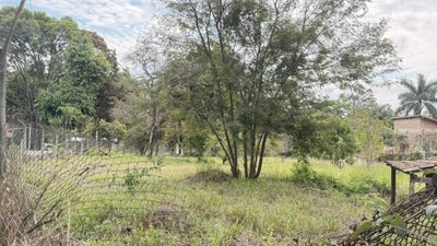 Terreno, 300 m² - Foto 4