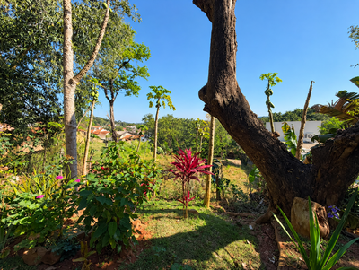 Terreno, 382 m² - Foto 5