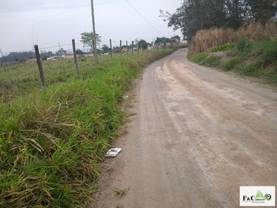 Terreno, 4 hectares - Foto 2