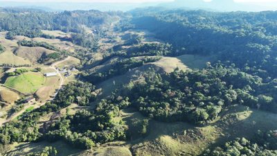 Terreno, 42 hectares - Foto 4