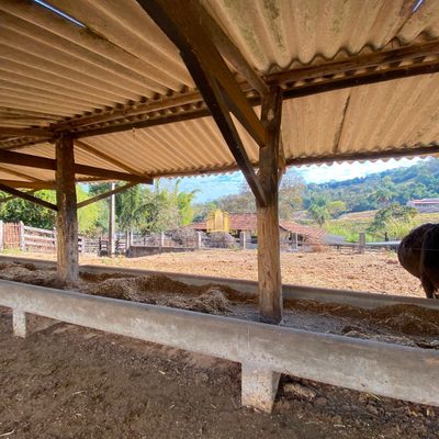 Fazenda, 7 hectares - Foto 3