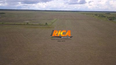 Fazenda, 462 hectares - Foto 4