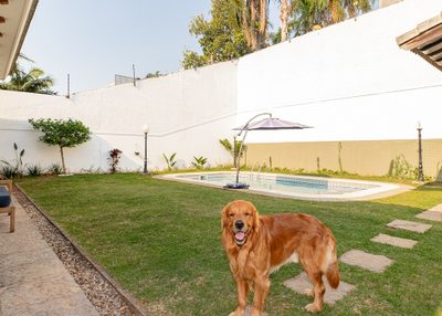 Casa, 4 quartos, 450 m² - Foto 5