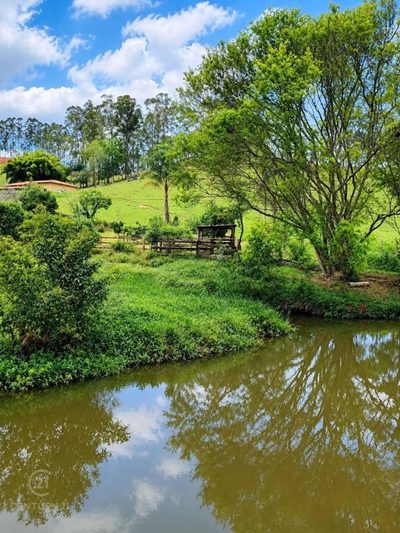 Chácara, 4 quartos, 2 hectares - Foto 1