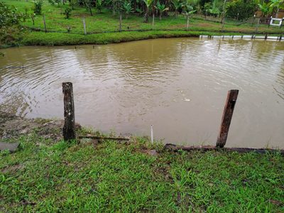 Sítio, 3 quartos, 3 hectares - Foto 4