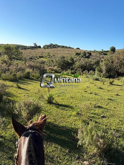 Fazenda, 115 hectares - Foto 4