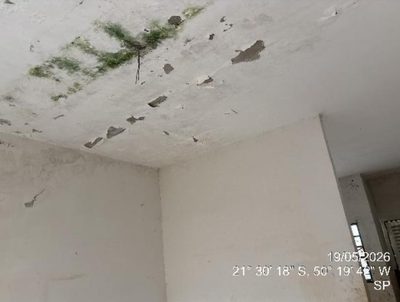 Casa, 2 quartos, 200 m² - Foto 3