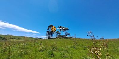 Sítio, 27 hectares - Foto 4