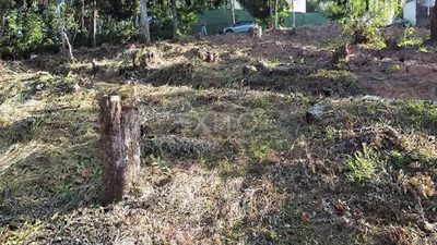 Terreno, 1476 m² - Foto 3