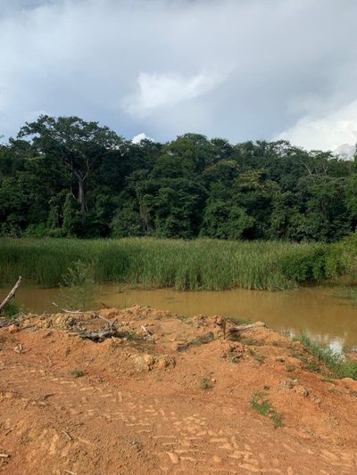 Chácara, 1 quarto, 640 hectares - Foto 2