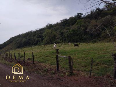 Fazenda - Foto 4