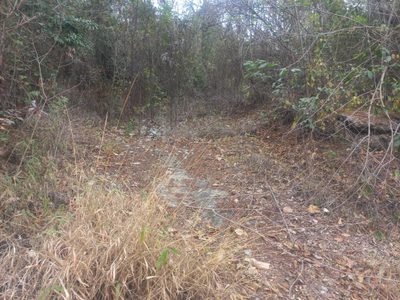 Terreno, 2800 m² - Foto 4