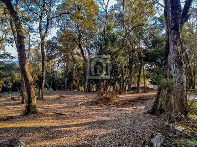 Terreno, 1800 m² - Foto 3