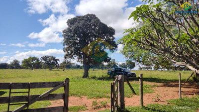 Fazenda, 3 quartos - Foto 2