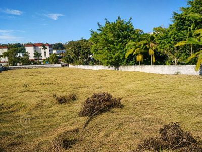 Terreno, 3000 m² - Foto 3