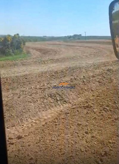 Sítio, 29 hectares - Foto 2