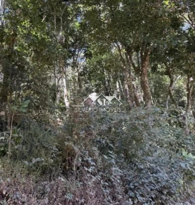 Terreno, 2000 m² - Foto 2
