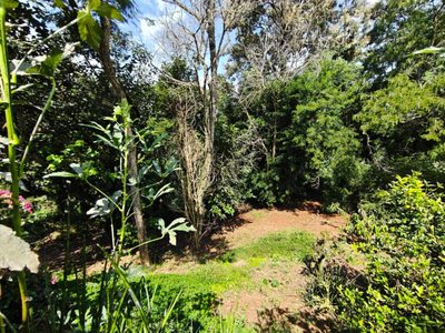 Terreno, 411 m² - Foto 3