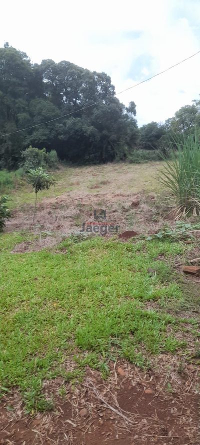 Chácara, 1 hectares - Foto 4