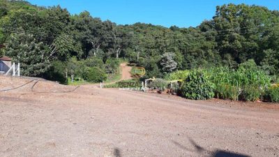 Terreno, 3 hectares - Foto 1