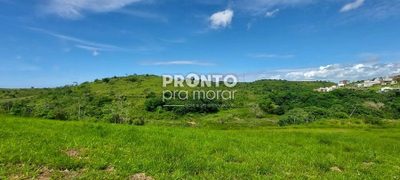 Terreno, 2449 m² - Foto 5