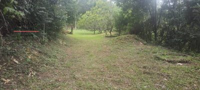 Terreno, 3 hectares - Foto 4