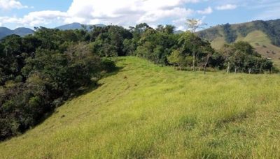 Sítio, 4 quartos, 9 hectares - Foto 3