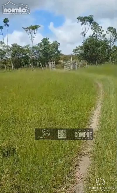 Casa, 30 m² - Foto 3