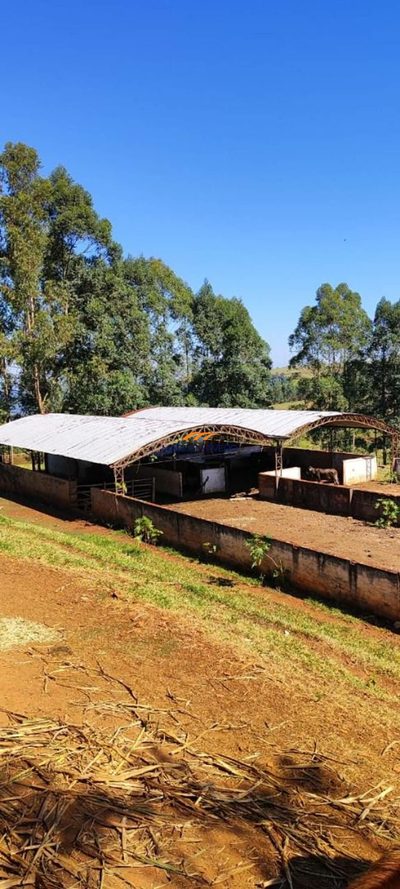 Fazenda, 289 hectares - Foto 4