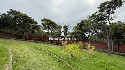 Casa, 5 quartos, 450 m² - Foto 3